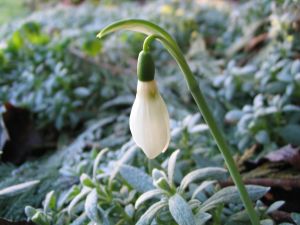 Best Makeup Colours : Bright Winter