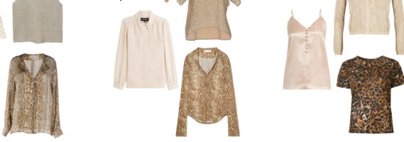 Autumn Progressions, Basics