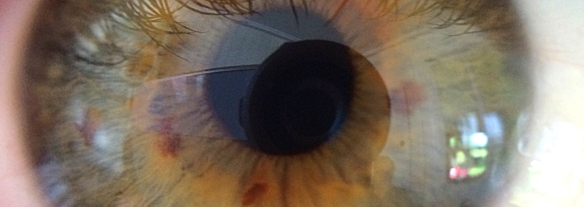 How Winters Intensify Eye Colour