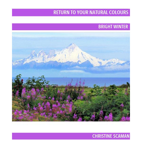 Bright-Winter-book-cover